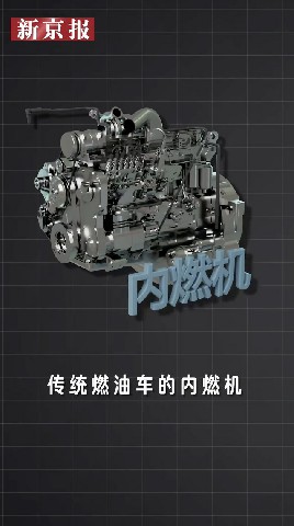 项目图片2